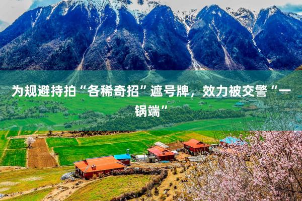 为规避持拍“各稀奇招”遮号牌，效力被交警“一锅端”