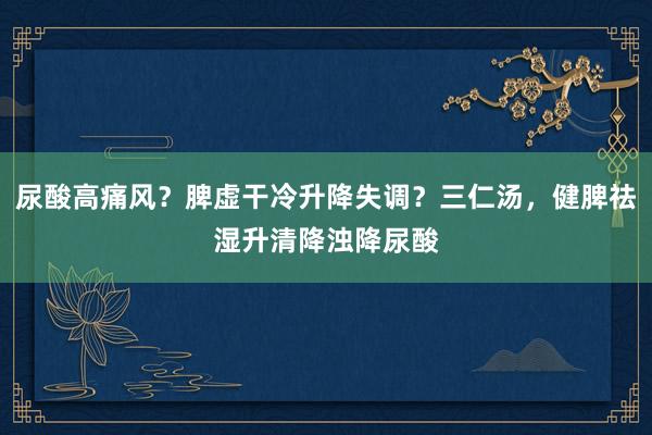 尿酸高痛风？脾虚干冷升降失调？三仁汤，健脾祛湿升清降浊降尿酸