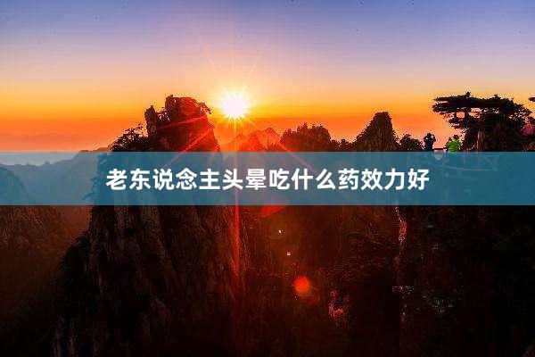老东说念主头晕吃什么药效力好