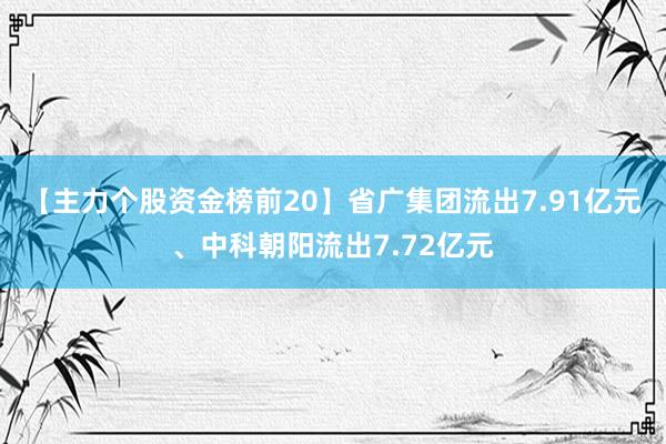 【主力个股资金榜前20】省广集团流出7.91亿元、中科朝阳流出7.72亿元