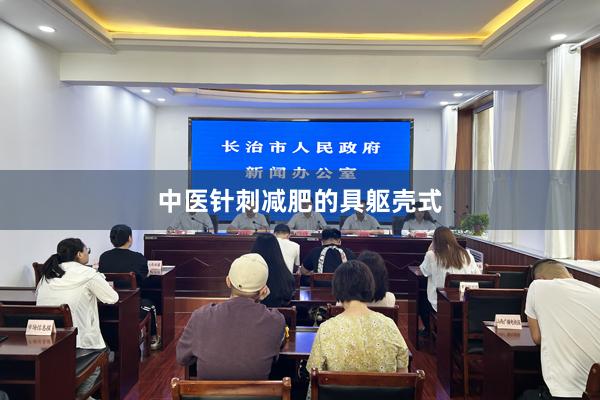 中医针刺减肥的具躯壳式